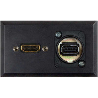 Telecom Plate with (1) USB Universal A/B and (1) HDMI F/F