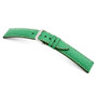 Apple Green RIOS1931 Wave | Genuine Shark Watch Band | RIOS1931.com