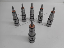 Large Sac 5 Hole