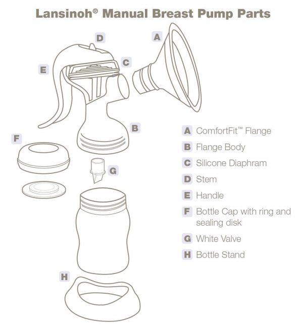 Manual breast 2024 pump kit