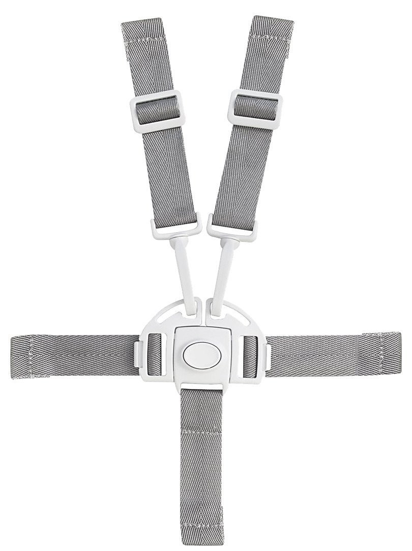 Boon Flair Harness Buckle - Parents' Favorite