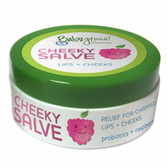 Babytime by Episencial Cheeky Salve Organic Lip and Cheek and Nipple Care, 0.5 Ounce