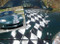 SHRED : High Definition Automotive Vinyl Graphics Checkered Flag Racing (M-SHR40LG)