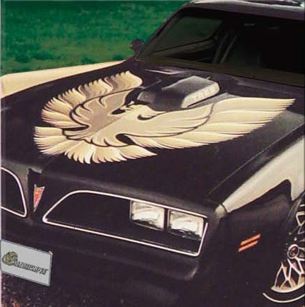 OEM Pontiac BIRD Decals and Graphic Kit '73 '81 Trans Am