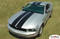 Mustang WILDSTANG - 2005-2009 Ford Mustang Lemans Style Vinyl Racing Stripes Kit - Factory OEM Style Vinyl Racing and Rally Stripes Kit with Dome Emblems for the 2005-2009 Ford Mustang! Pre-cut pieces ready to install. A fantastic addition to your vehicle, using only Premium Cast 3M and Avery Vinyl!