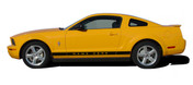 Mustang WILDSTANG ROCKER 2 : 2005-2015 Ford Mustang Rocker Panel Stripes - Rocker Panel Vinyl Graphics and Decal Kit for the 2005-2015 Ford Mustang! Ready to install pieces. A fantastic addition to your vehicle, using only Premium Cast 3M, Avery, or Ritrama Vinyl! . . .