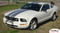 Mustang WILDSTANG S-V61 - Lemans GT500 Style Vinyl Racing Stripe Kit for 2005-2009 Ford Mustang V6 - Complete Factory "OEM" Style Vinyl Racing and Rally Stripes Kit for the 2005-2009 Ford Mustang V6! Pre-cut pieces ready to install. A fantastic addition to your vehicle, using only Premium Cast 3M and Avery Vinyl!
