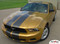 Mustang STAMPEDE : "OEM" Lemans Style 2010-2012 Ford Mustang Racing and Rally Stripes Kit - Customer Photos