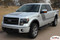 NEW! Ford F-150 "Appearance Package Style" Hood Vinyl Graphic Kit! Ready to install for your F-150 Ford Truck for 2009 2010 2011 2012 2013 2014 Models. Professional "OEM Style" and Design! For Automotive Restylers and Dealers! - Customer Photos