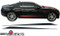 Chevy Camaro : Lower Body Accent Stripes with Pin Stripe fits 2010-2013 (SVS317C)