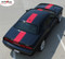 Challenger FINISH LINE - Wide Center Rallye Redline Style Vinyl Racing Stripes Graphics Kit fits 2011-2014 Dodge Challenger - Customer Photos