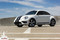 BEETLE RALLY : Complete Bumper to Bumper Racing Stripes Vinyl Graphics Kit for 2012-2019 Volkswagen Beetle - Customer Photos