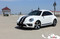 BEETLE RALLY : Complete Bumper to Bumper Racing Stripes Vinyl Graphics Kit for 2012-2019 Volkswagen Beetle - Customer Photos