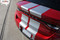 DART RALLY : Bumper to Bumper Rally Racing Stripes for Dodge Dart - Customer Photos