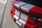 DART RALLY - Bumper to Bumper Rally Racing Stripes for Dodge Dart - Customer Photos