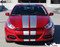 DART RALLY - Bumper to Bumper Rally Racing Stripes for Dodge Dart - Customer Photos