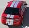DART RALLY - Bumper to Bumper Rally Racing Stripes for Dodge Dart - Customer Photos