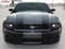 VENOM : Super Snake Style Ford Mustang Racing and Rally Stripes Vinyl Graphics Kit - Customer Photos