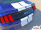 STALLION : Ford Mustang Lemans Style Racing and Rally Stripes Vinyl Graphics Kit! * NEW Vinyl Graphics Kit for the 2015 2016 2017 Ford Mustang! Factory Style Racing Stripes and Rally Kit, featuring Premium Grade Vinyl. The "look" without the factory cost! Update your New Mustang today and start heads turning!