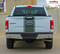F-150 CENTER STRIPE : Ford F-150 Racing Stripes Vinyl Graphics and Decals Kit for 2015 2016 2017 Models (M-PDS3523) - CUSTOMER PHOTO 4