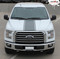 F-150 CENTER STRIPE : Ford F-150 Racing Stripes Vinyl Graphics and Decals Kit for 2018 Models (M-PDS3523) - CUSTOMER PHOTO 3