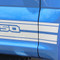 F-150 ROCKER TWO : Ford F-150 Lower Rocker Panel Stripes Vinyl Graphics and Decals Kit for F-Series F-150 Models (M-PDS3526) - CUSTOMER PHOTO 4