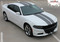 2019 N-CHARGE RALLY : Racing Stripe Rally Style Vinyl Graphics Decal Stripe Kit for Dodge Charger (M-PDS3592-97) - Customer Photo 1