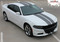 2019 N-CHARGE RALLY - Racing Stripe Rally Style Vinyl Graphics Decal Stripe Kit for Dodge Charger (M-PDS3592-97) - Customer Photo 1