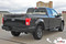 REAPER TAILGATE Solid Color : Ford F-150 Tailgate Blackout Vinyl Graphic Decal Stripe Kit for 2015 2016 2017 Models - Customer Photo 1