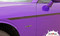 Challenger ROADLINE : Wide Upper Door Vinyl Graphics Side Stripes Accent Decals for 2008, 2009, 2010, 2011, 2012, 2013, 2014, 2015, 2016, 2017, 2018, 2019, 2020, 2021, 2022 Dodge Challenger - Customer Photo 6