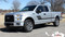 ELIMINATOR : Ford F-150 Side Door Hockey Style Rally Stripes Vinyl Graphics and Decals Kit for 2015, 2016, 2017, 2018, 2019, 2020 Models  - CUSTOMER PHOTO 9