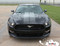 2015 2016 2017 FADE RALLY : Ford Mustang Faded Racing Stripes Fading Hood Vinyl Graphic Ebony Silver Decals - Silver Fade Customer Photo 10