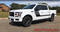 LEAD STROBE : Ford F-150 Stripes Decals Special Edition Lead Foot Appearance Package Hockey Stripe Vinyl Graphics 2015, 2016, 2017, 2018, 2019, 2020 - Photo 1