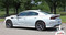 FIERCE - Dodge Charger Body Stripes Side Door Decals Vinyl Graphics fits 2015-2020, 2021 - Customer Photos