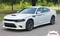 FIERCE - Dodge Charger Body Stripes Side Door Decals Vinyl Graphics fits 2015-2020, 2021 - Customer Photos