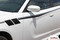 FIERCE : Dodge Charger Body Stripes Side Door Decals Vinyl Graphics fits 2015-2020, 2021 - Customer Photos