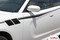 FIERCE - Dodge Charger Body Stripes Side Door Decals Vinyl Graphics fits 2015-2020, 2021 - Customer Photos
