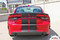N-CHARGE RALLY SP : R/T Scat Pack SRT 392 Hellcat Racing Stripe Rally Vinyl Graphics Decals Kit for Dodge Charger - Customer Photo
