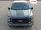 F-150 SWAY HOOD - 2021-2026 Ford F-150 Hood Decal Center Vinyl Graphic with Optional Hood Spike Stripes - Customer Photos