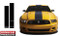 2013 Mustang Style Hood/Roof/Trunk Stripe Kit