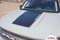 RIDER HOOD : Ford Bronco Sport Hood Decals Stripes Vinyl Graphics Kit for 2021 2022 2023 2024 - Customer Photos