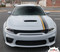 CRUSH : Dodge Charger Euro Racing Stripes Offset Hood Decals Vinyl Graphic fits 2015-2023 (M-PDS-8784)