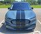 MACH-E RALLY - Ford Mustang Mach-E Racing Stripes Mach E Style Hood Rally Decals Vinyl Graphics Kit fits 2021, 2022, 2023, 2024, 2025, 2026 - Customer Photos