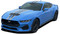 PREMIUM GT RALLY - NEUTRAL - 2024-2026 Ford Mustang GT Racing Stripes Rally Hood Decals Vinyl Graphics Kit (M-PDS-9310)