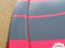 PERFORMANCE GT RALLY : 2024 Ford Mustang GT Racing Stripes Rally Hood Bumper to Bumper Decals Vinyl Graphics Kit - Customer Photos