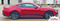 RACEWAY : 2024 Ford Mustang GT and Ecoboost Rocker Panel Side Door Stripes Vinyl Graphics Kit - Customer Photos