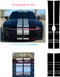 N-CHARGE RALLY 24 | Dodge Charger Racing Stripes Hood Decal Roof Bumpers Vinyl Graphic fits 2024-2025