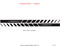 Details of CHARGER ROCKER 1, fits Dodge Charger Lower Door Panel Stripes Vinyl Graphic Decals Kit 2024-2027