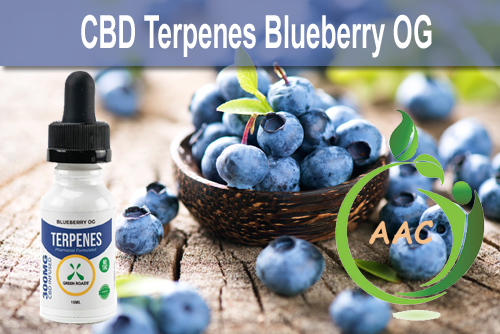 Green Roads World CBD Oil + Blueberry Terpenes For Whole Body Wellness (300 mg) Green Roads World Blueberry CBD (cannabidiol) Terpenes For Whole Body Wellness