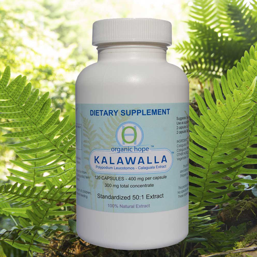 Kalawalla with Polypodium Leucotomos - Immune Support Supplement